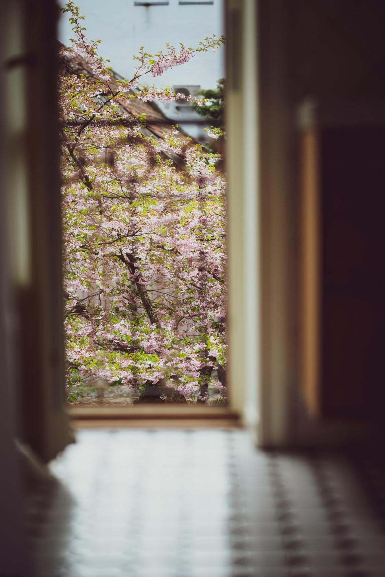 Vanalinna Boutique Hotel Kuressaare Bagian luar foto